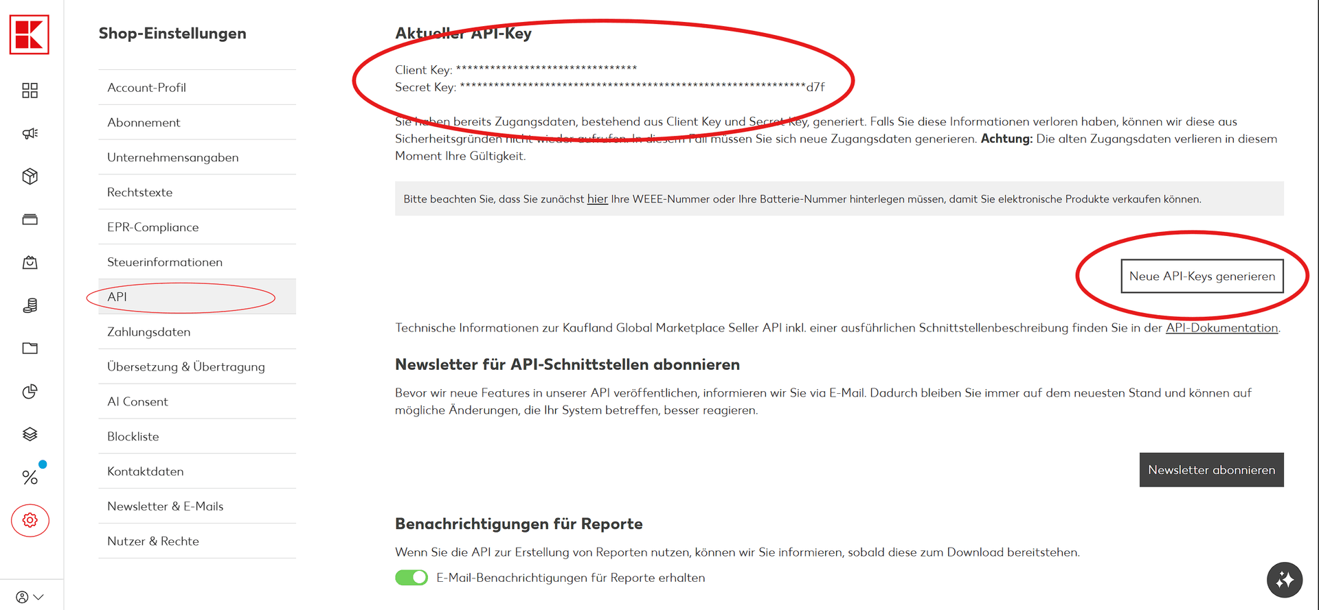 Kaufland Einstellungen-Menü mit API-Zugang Option